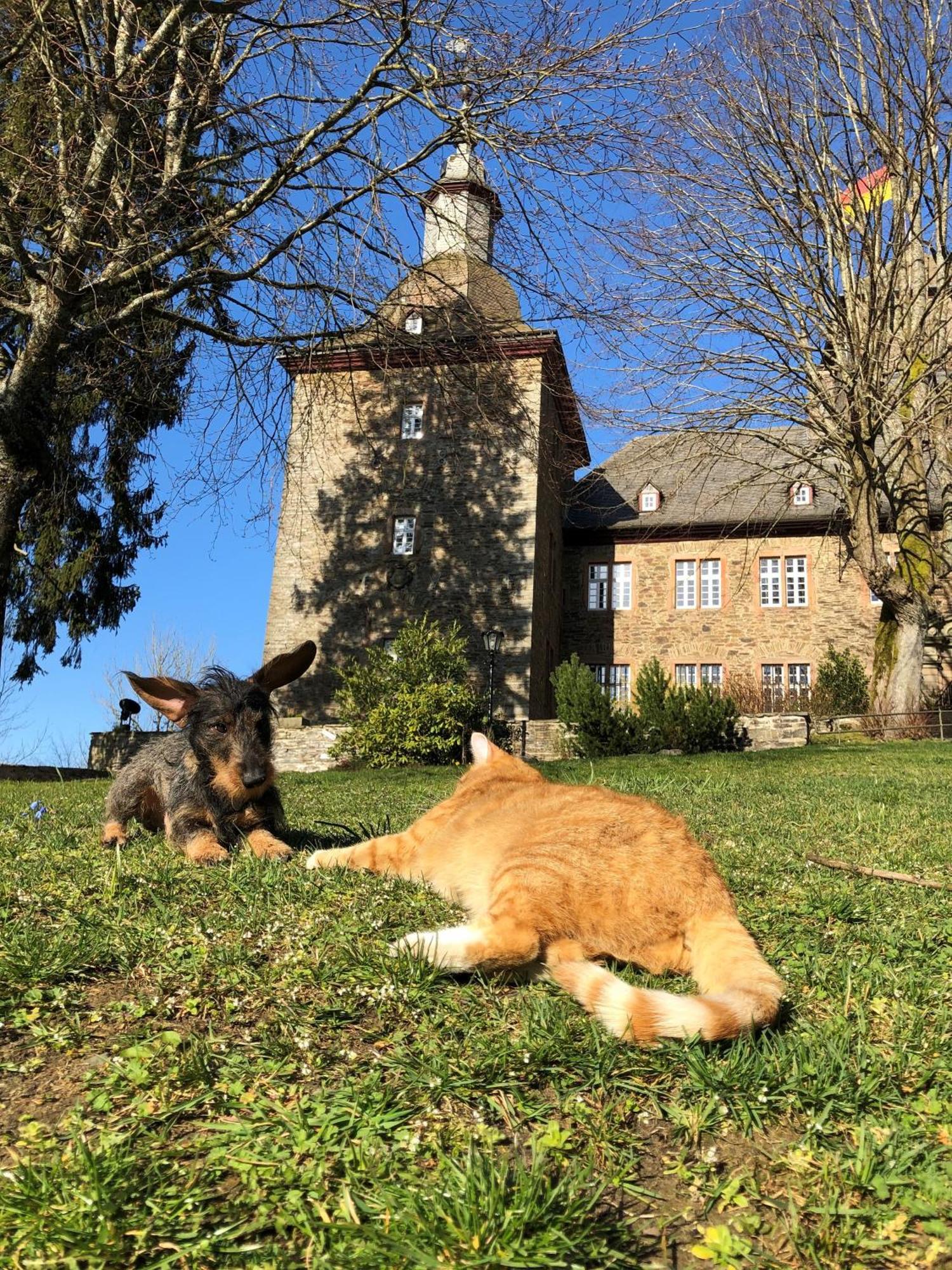 Hotel Und Restaurant Burg Schnellenberg Attendorn Esterno foto